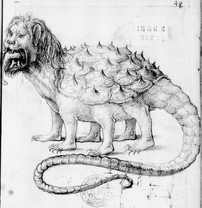 Tarasque (Lion Turtle). From Pierre Sala's Antiquités de Lyon (16c.)